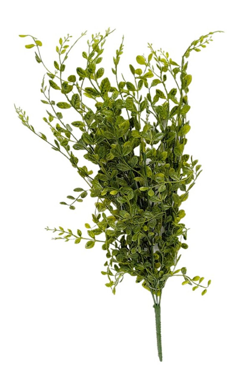 22&quot; Green Boxwood Bush