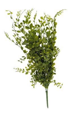 22&quot; Green Boxwood Bush