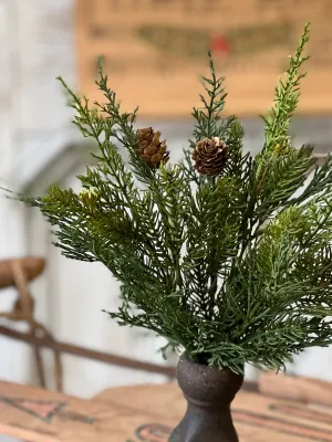 14&quot; Telluride Spruce Bush