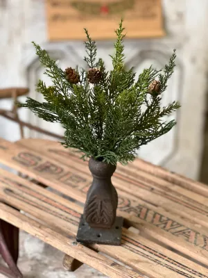14" Telluride Spruce Bush
