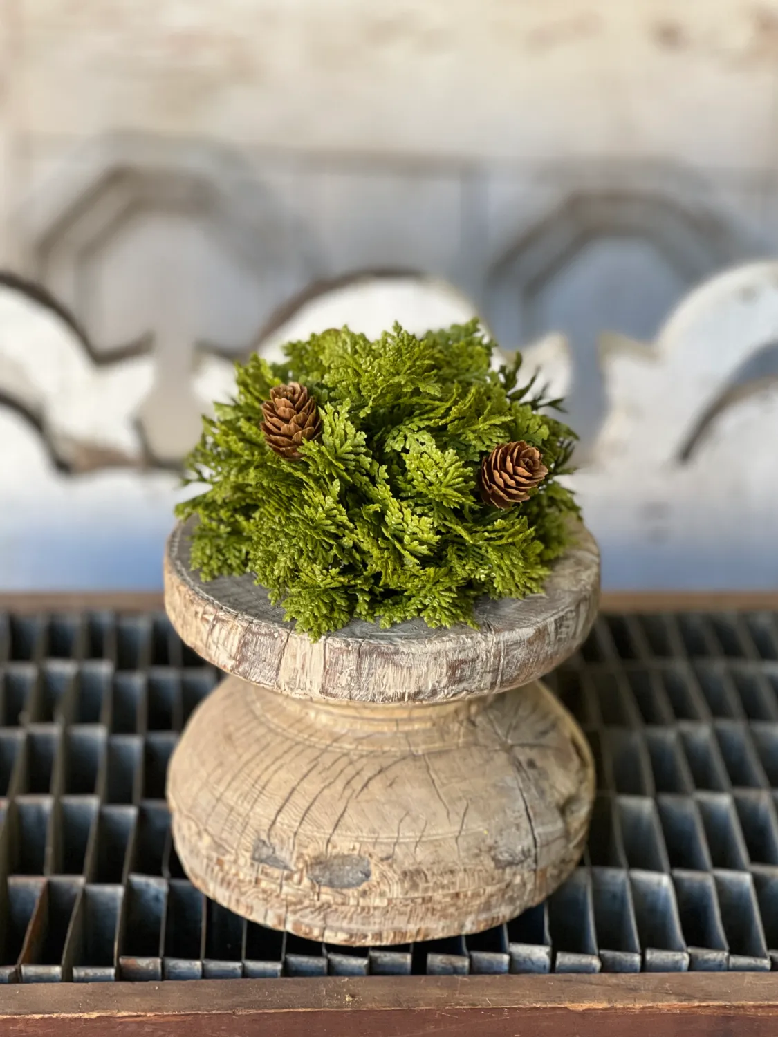 5.5&quot; Leyland Cypress Half Sphere