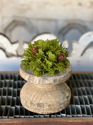 5.5&quot; Leyland Cypress Half Sphere