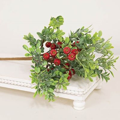 14" Frosted Boxwood &amp; Gooseberry Spray
