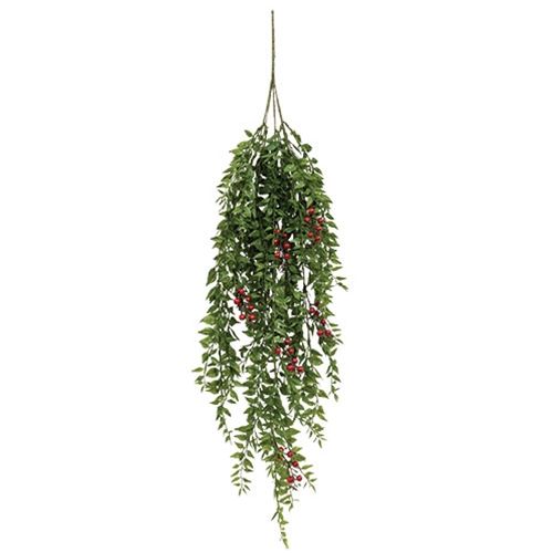 36&quot; Lady Ruscus Hanging Bush