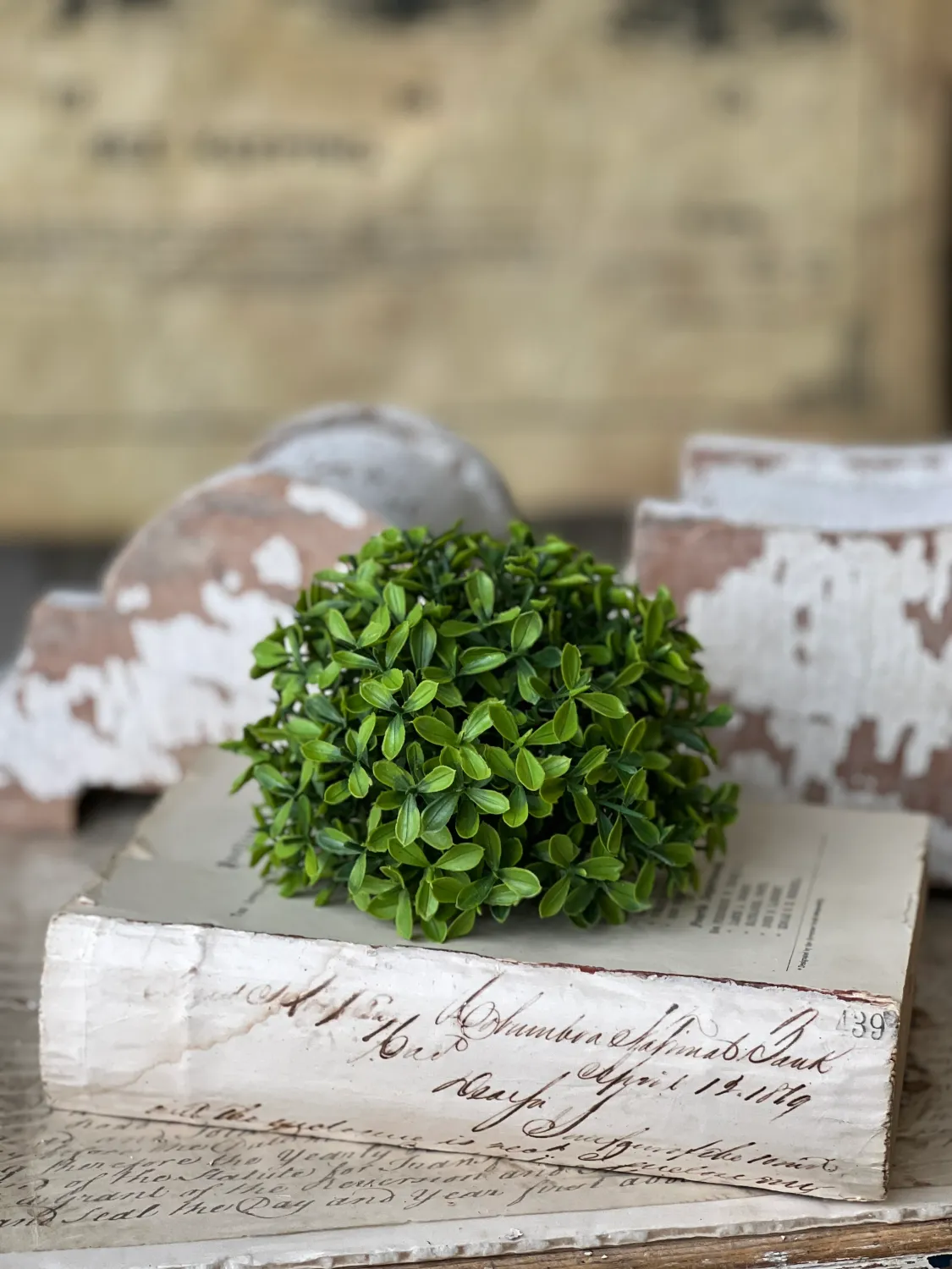 5.5" Lyric Boxwood Half Sphere