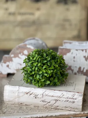 5.5" Lyric Boxwood Half Sphere