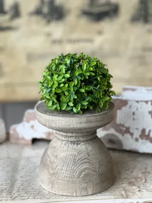 5.5" Lyric Boxwood Half Sphere
