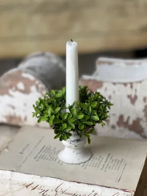4.5" Lyric Boxwood Candle Ring