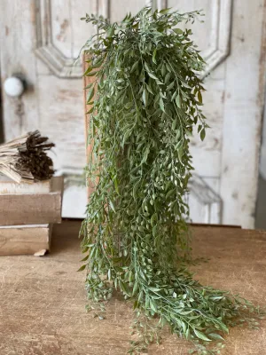 34" Mixed Sage Hanging Bush