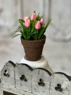 5" Teacup Tulip Pots