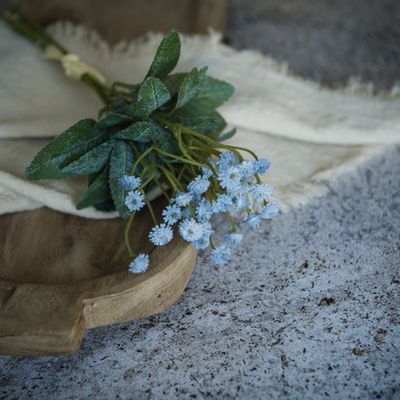 11.5" Blue Mini Star Bundle