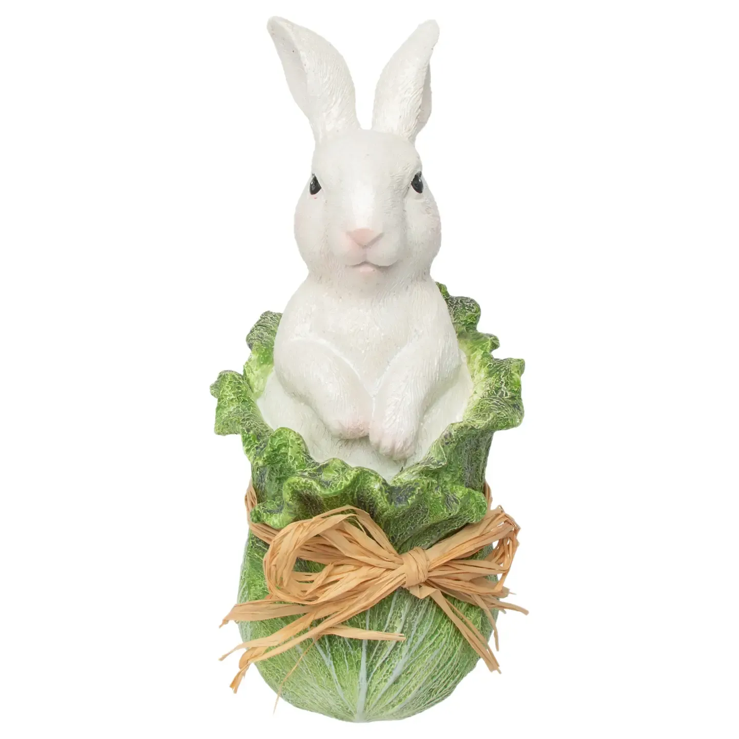 Bunny in Cabbage