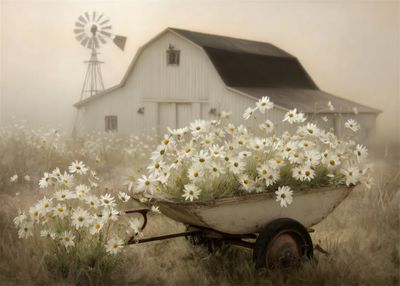 Barns &amp; Houses