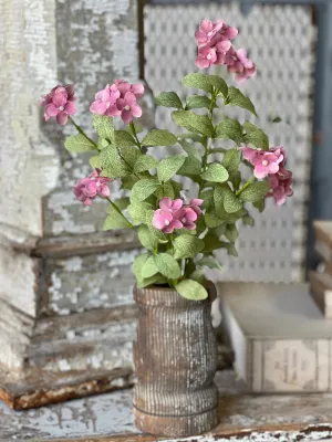 20" Glendover Blooms Bush Pink