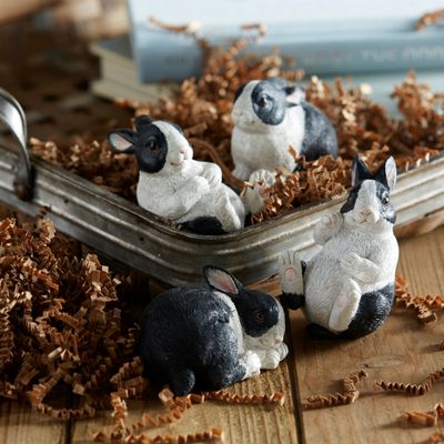 Black and White Mini Rabbits