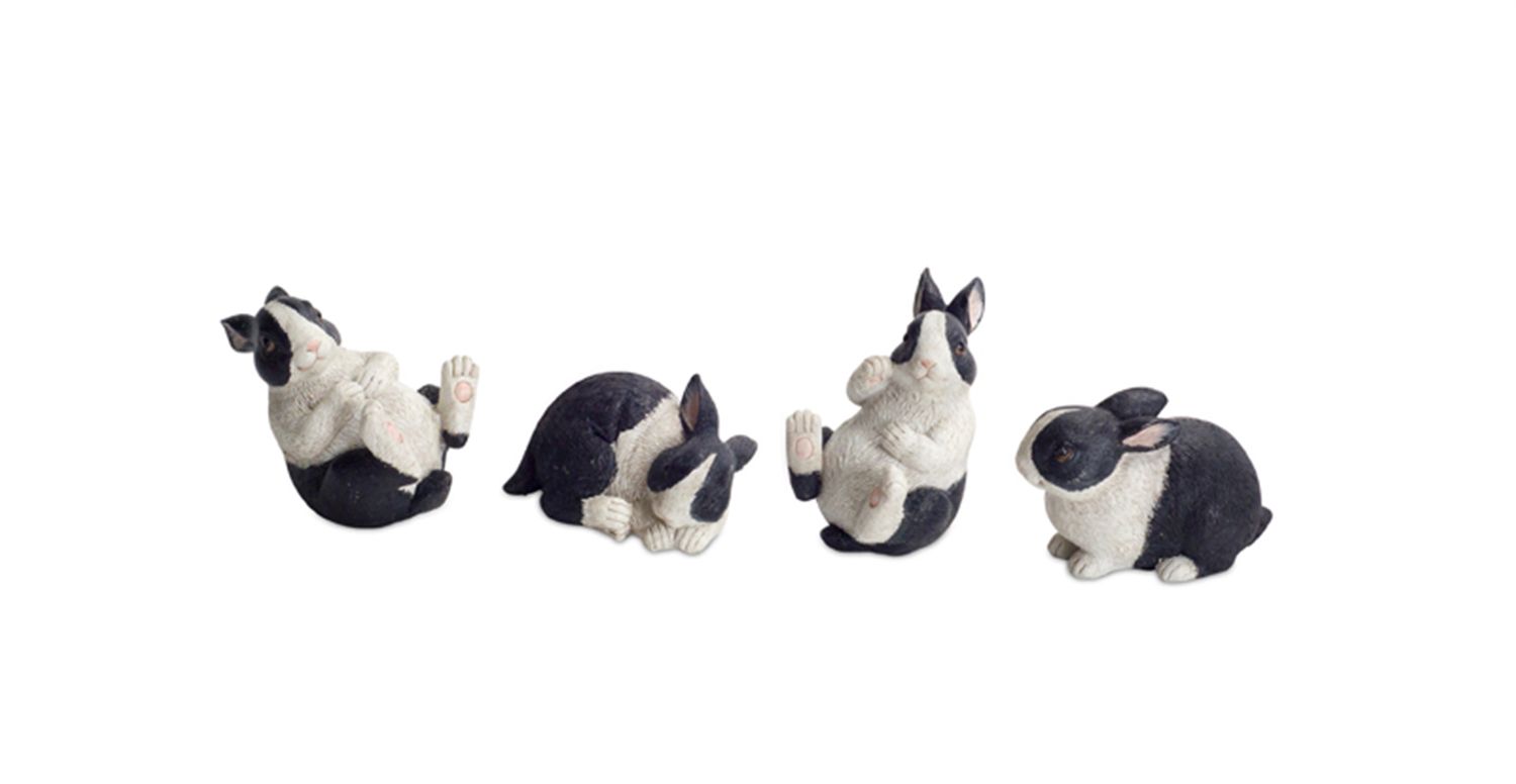 Black and White Mini Rabbits