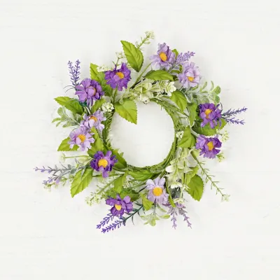 3.5" Purple Daisy Mix