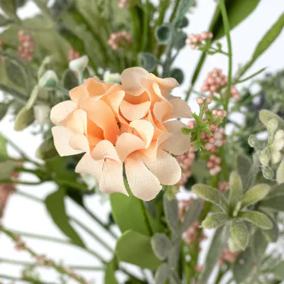 19" Mixed Peach Dahlia Bush