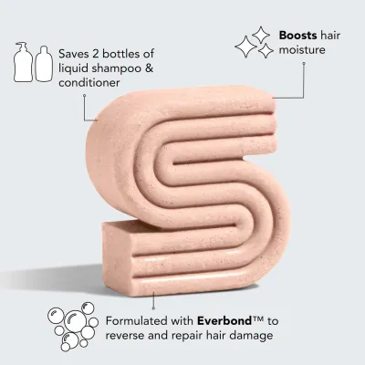 Repairing Argan Oil Shampoo Bar