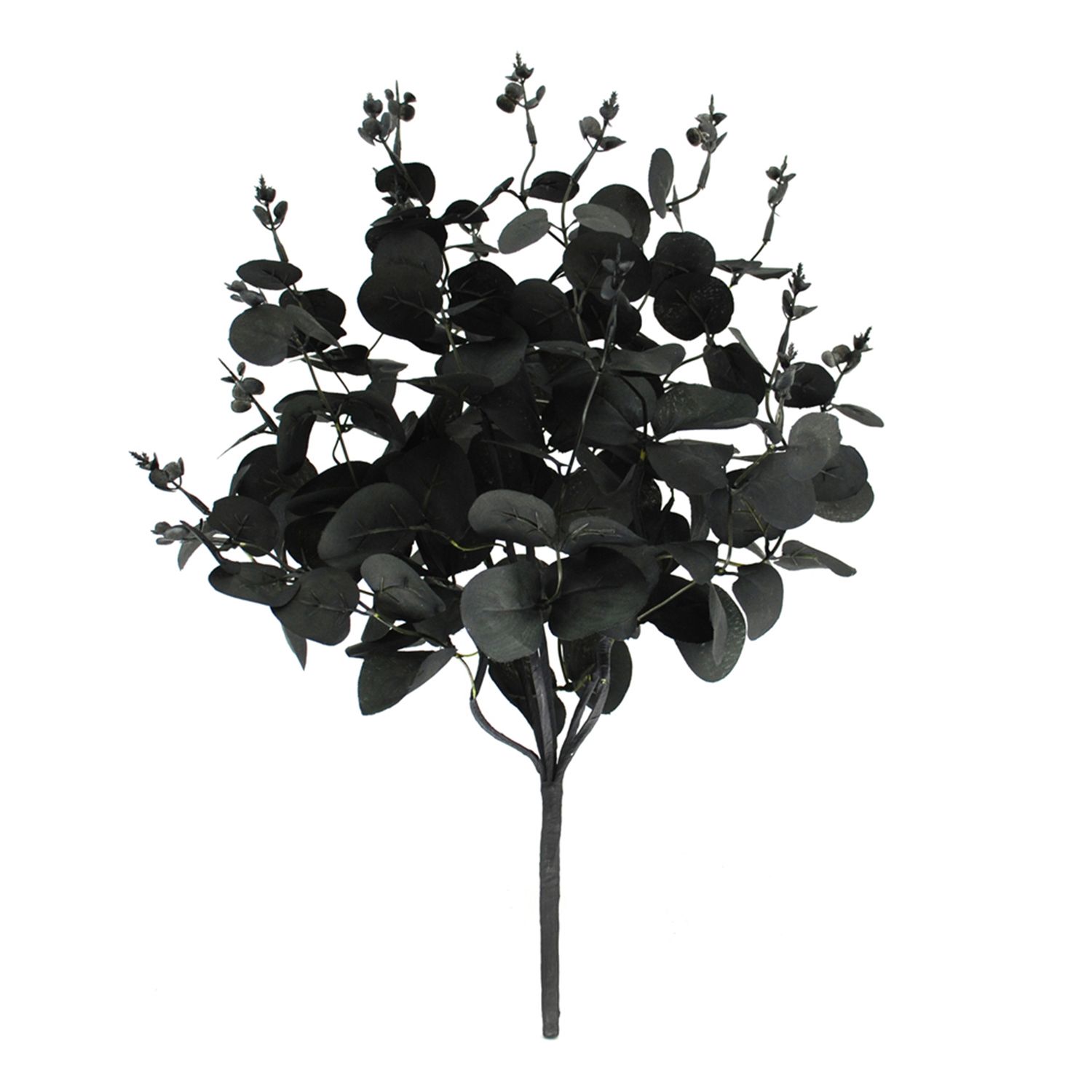 18" Black Eucalyptus Pick