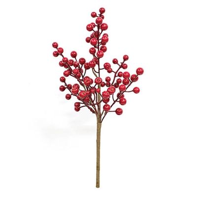 13" Winter Gooseberry Pick