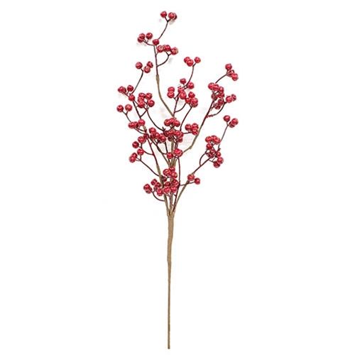 26" Winter Gooseberry Spray