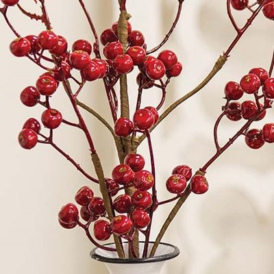26" Winter Gooseberry Spray