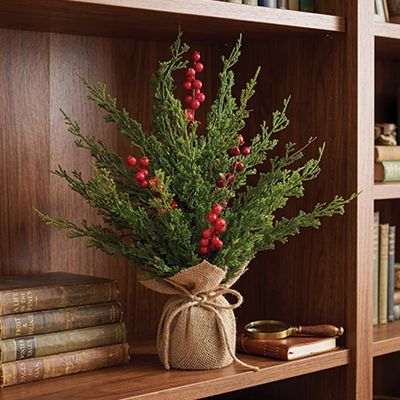 18" Soft Touch Cypress Tree