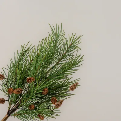 18" Pine Needle Pick