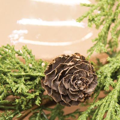 6.5" Western Cedar &amp; Pinecone Candle Ring