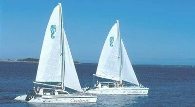 CATAMARAN SNORKEL SAIL