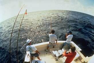 DEEP SEA FISHING