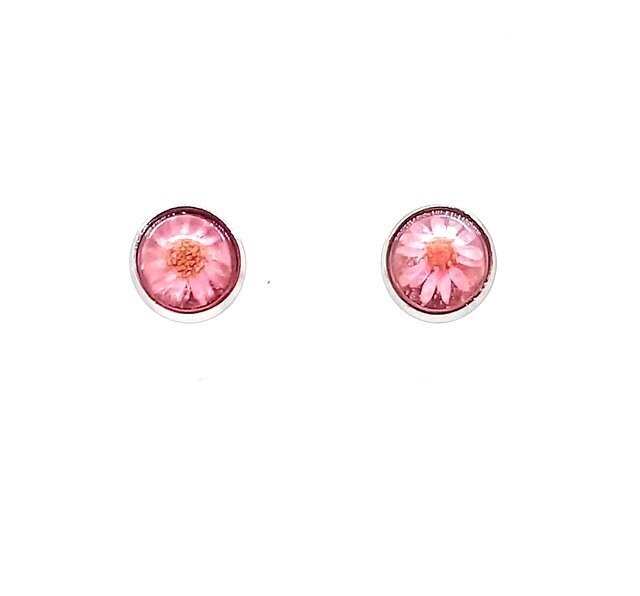 Boucles d'oreilles puces, fleurs de Marcela rose