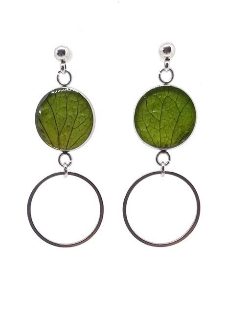 ​Clous d'oreilles, pétales d'Hortensia vert, anneau
