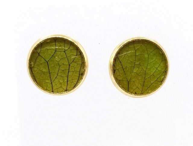 Boucles d'oreilles puces, pétales d'Hortensia vert