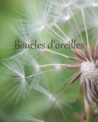Boucles d'oreilles