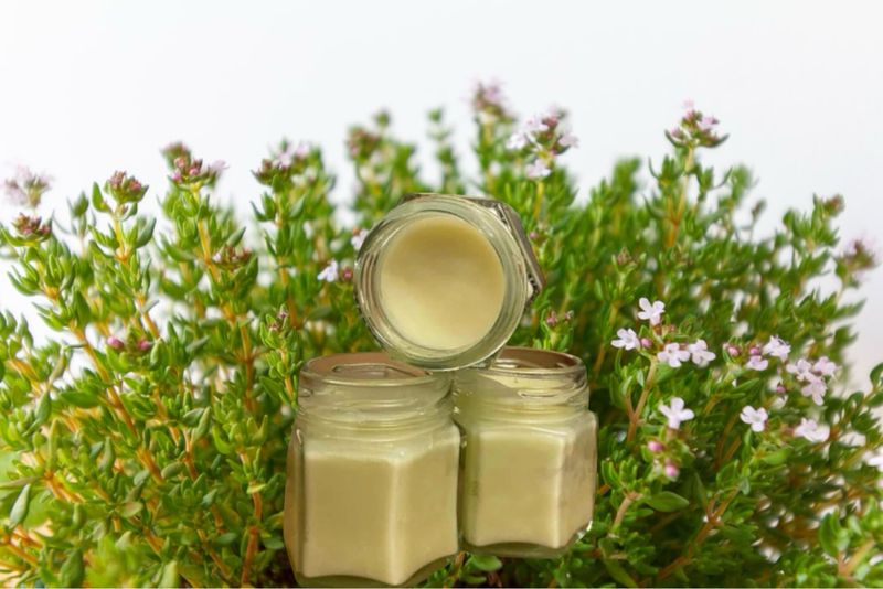 U.K. Native Bee Propolis & Thyme Balm