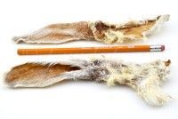 Kaninchenohren mit Fell Kaninchenohren mit Fell