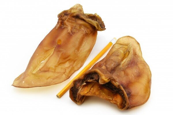 Rinder Ohr o. Muschel  LL 1 Stück