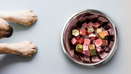 Hähnchen Vollwertmenü Plus GB 2,5 kg