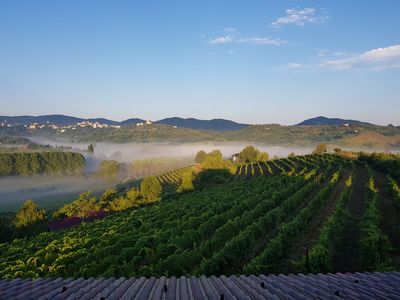VISITE , DEGUSTAZIONI & EVENTI
