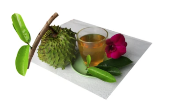 Soothe You Sour Sop Leaves