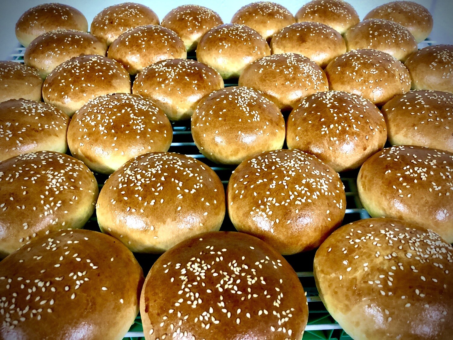 Hamburger-buns