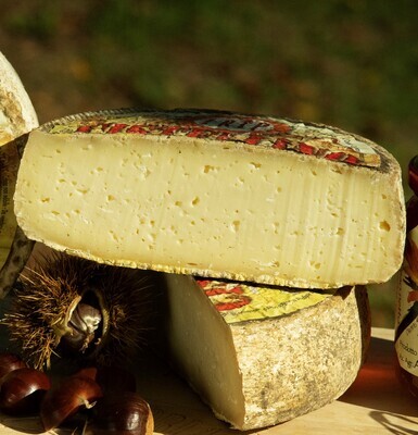 Formaggio Cistellino FriP - Mezza Forma