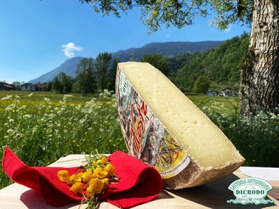 Formaggio Dicrodo Nostrano - Mezza forma Formaggio Dicrodo Nostrano - Mezza forma