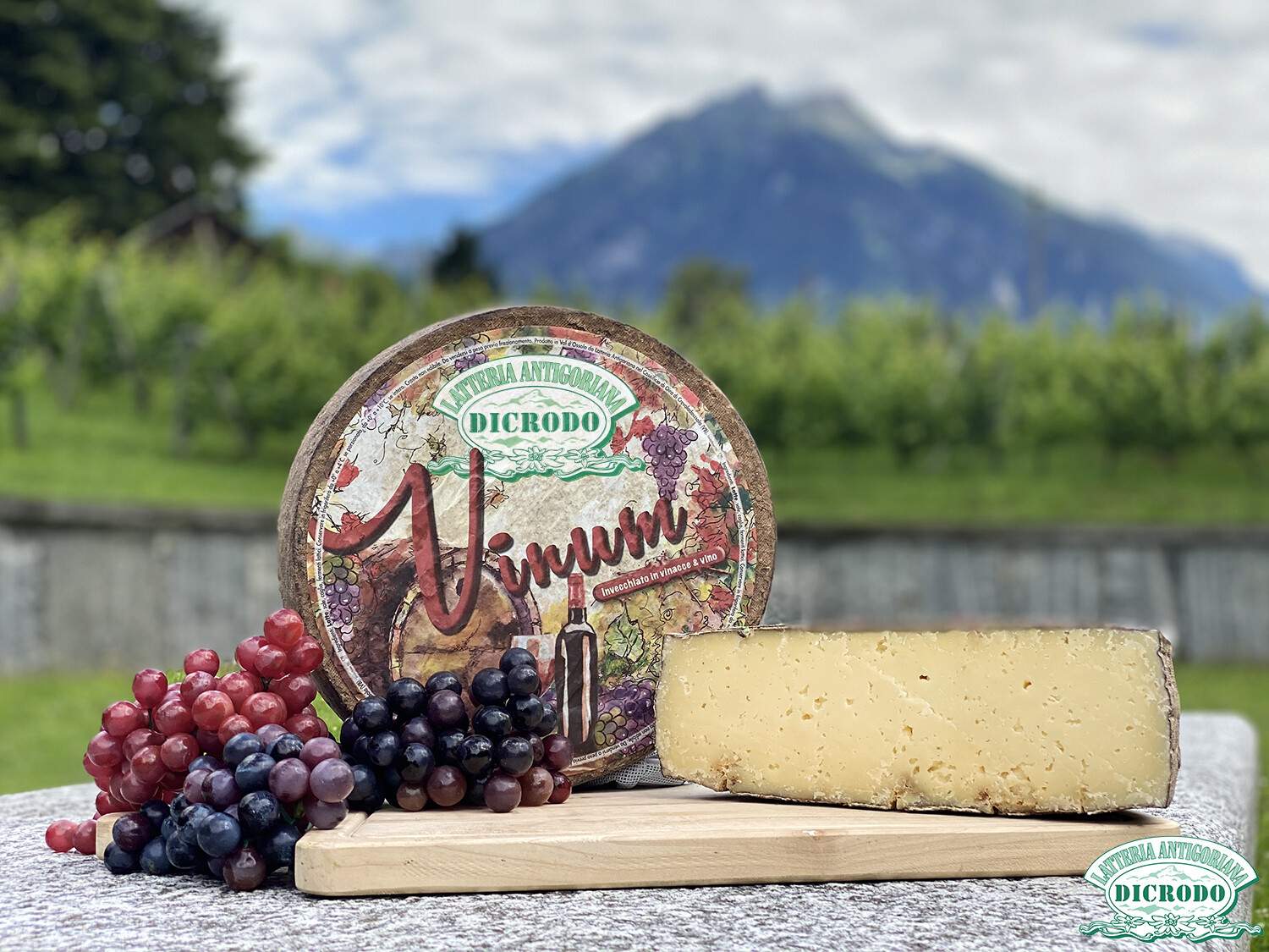 Formaggio Dicrodo Vinum - Quarto di forma