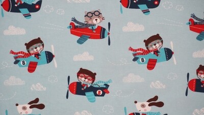 J 10 Flugzeug hellblau (bio)