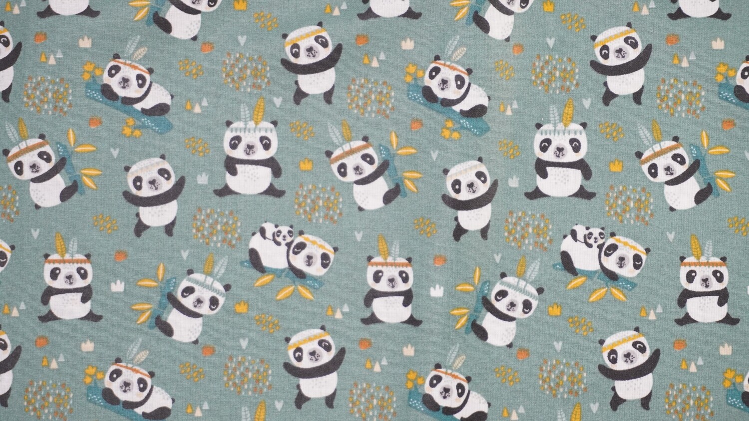 BBW 1 Indianerpandas