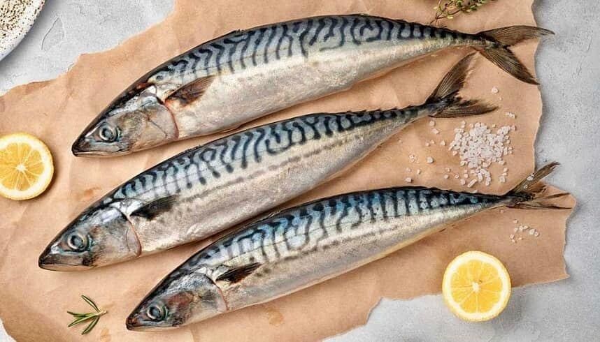 Atlantic Mackerel - Whole - Wild Caught - (Скумбрия)