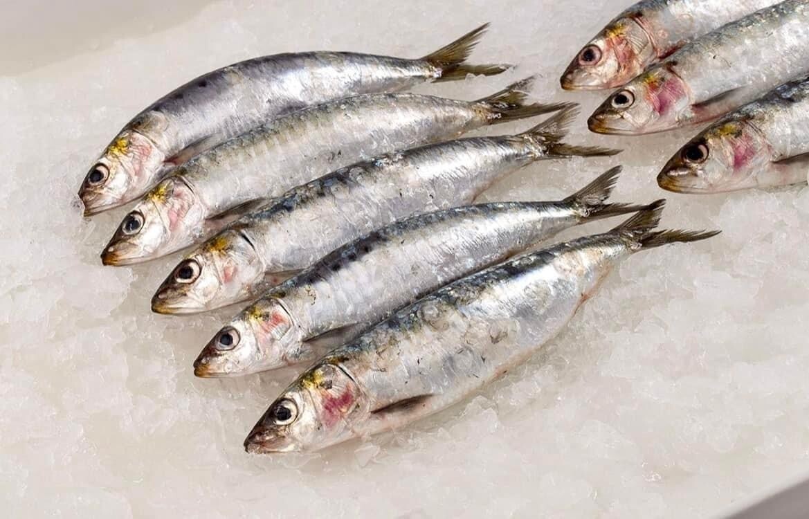 Sardines - Wild Caught - (Сардина)